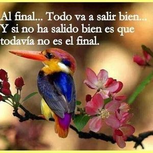 Meet your Posher, Sharlene